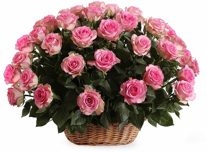 Букет 51 роза Свит Юник в корзине — купить в интернет-магазине по низкой  цене на Яндекс Маркете