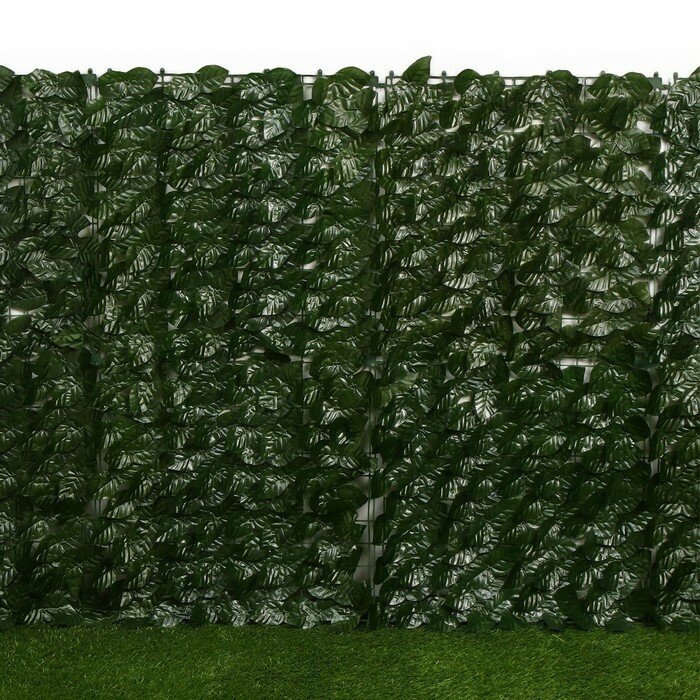 Изгородь декоративная, 100 × 300 см, «Листья удлинённые» - фотография № 3