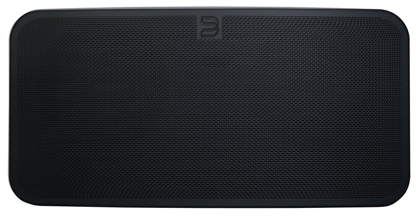 Портативная акустика Bluesound Pulse Mini 2i Black