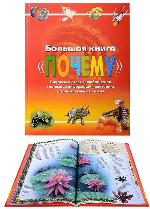 Большая книга "Почему" - фото №10