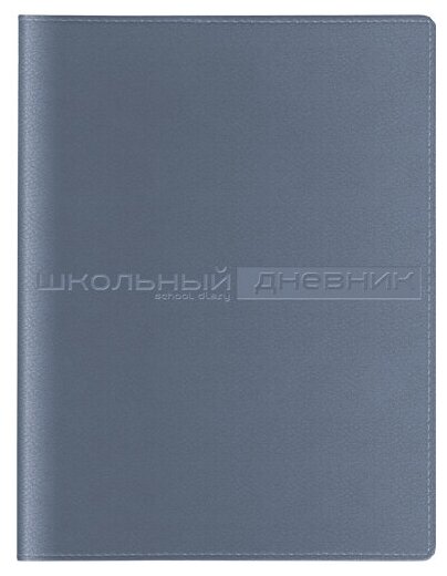 Дневник школьный "SIDNEY NEBRASKA" (серый)