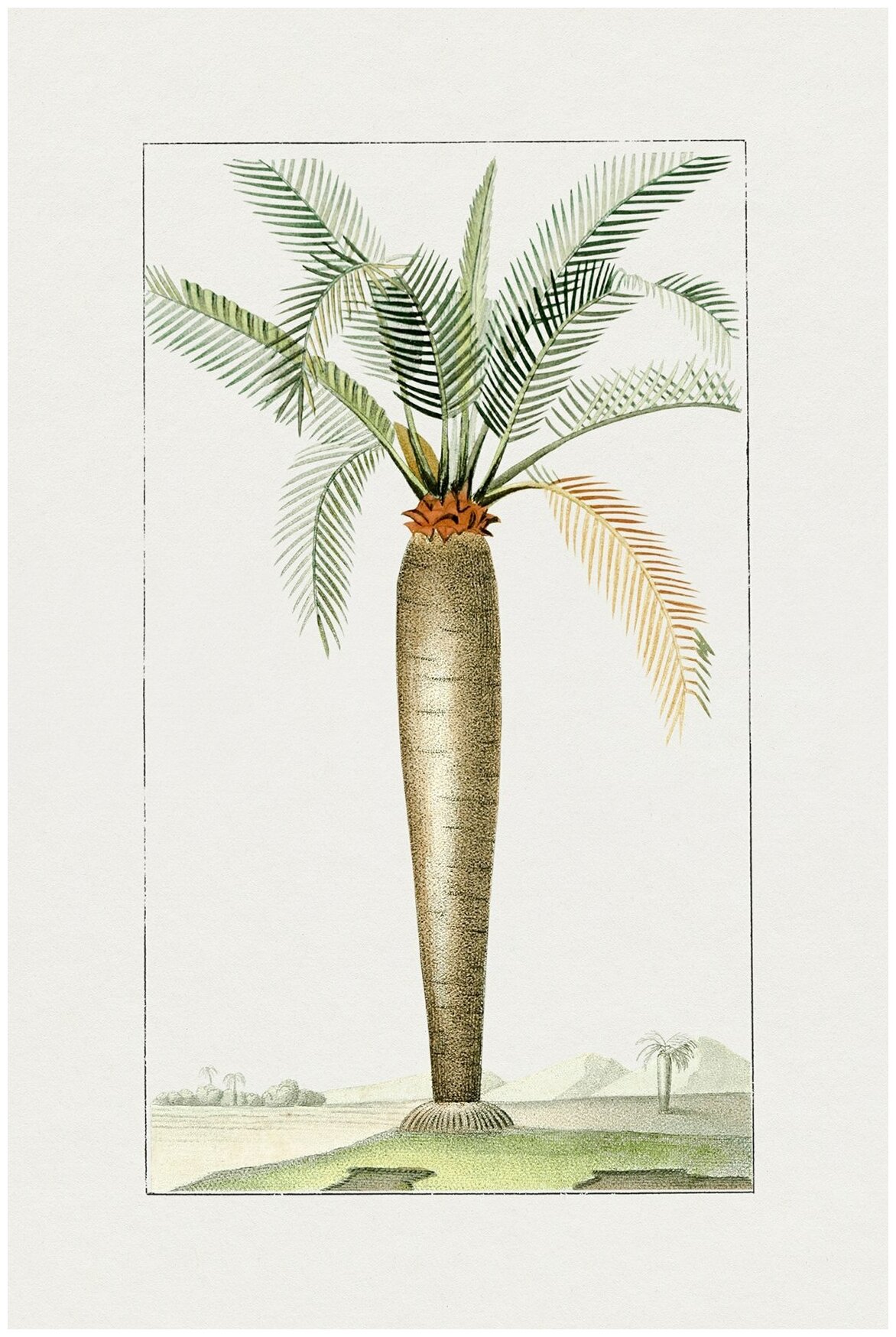 Постер / Плакат / Картина Пальмы - Пальма с желтой веткой 40х50 см в подарочном тубусе