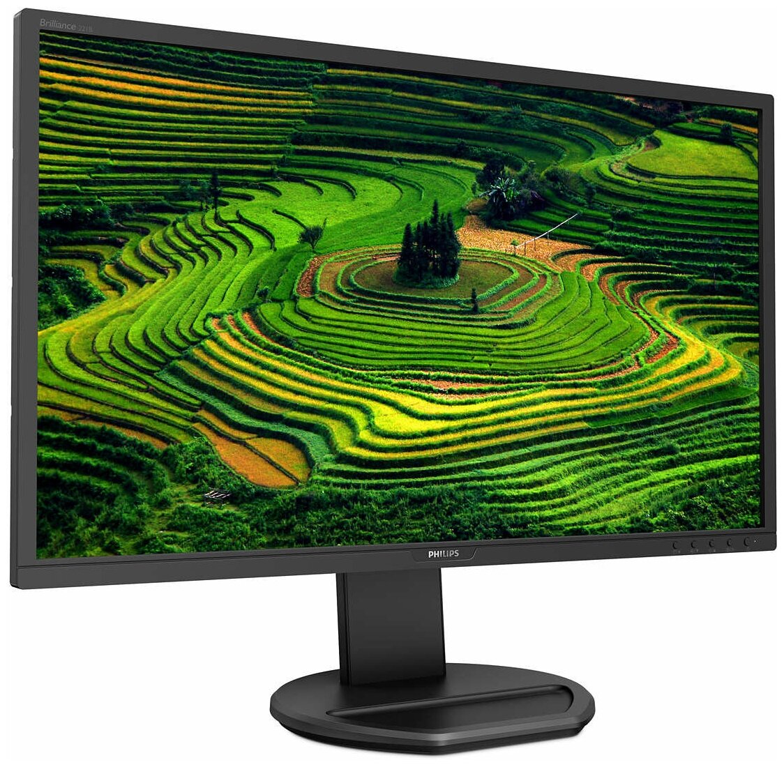 215 Монитор Philips 221B8LHEB 1920x1080 76 Гц TN черный
