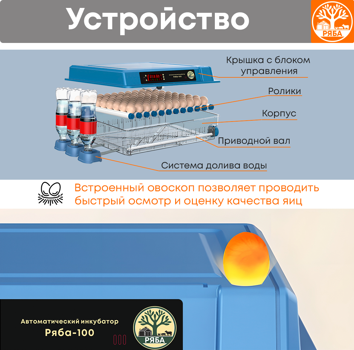 Инкубатор для яиц автоматический с терморегулятором Ряба-100 - фотография № 5