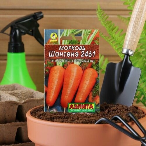 Семена Морковь . Шантенэ 2461 . Лидер .2 г , .4 уп. семена агрофирма аэлита лидер морковь шантенэ 2461 2 г 4 уп