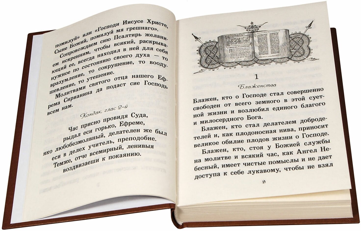 Псалтирь или Богомысленные размышления, извлеченные из творений святого отца нашего Ефрема Сирина - фото №6