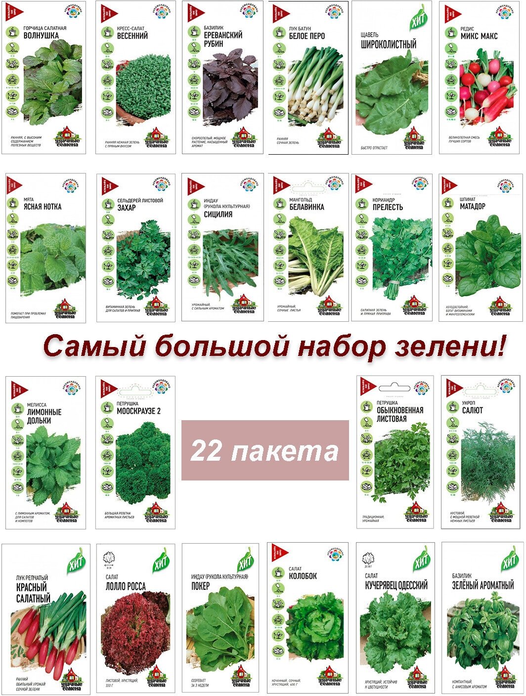 Семена, набор семян Зелень, базилик, укроп, салат, петрушка и др