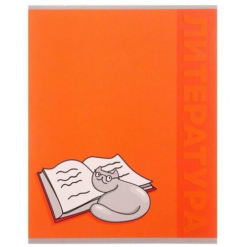 Тетрадь предметная Животные 48 листов в линейку Литература, со справочным материалом, обложка мелованый картон, УФ-лак, блок офсет