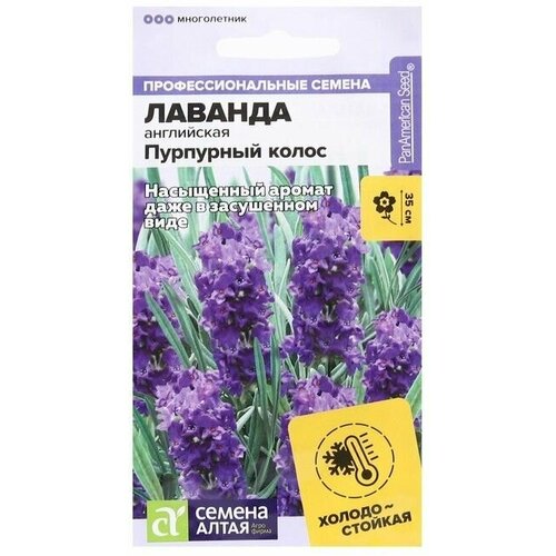 лаванда узколистная манстед стрейн 1 шт горшок Семена цветов Лаванда Пурпурный колос, узколистная 5 шт 4 упаковки