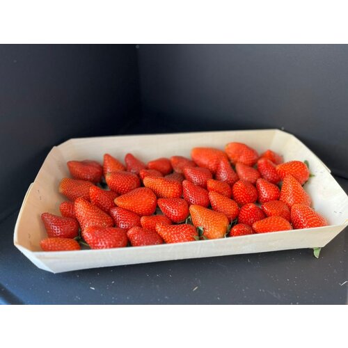 Ящик для ягод на 1 кг 10шт.