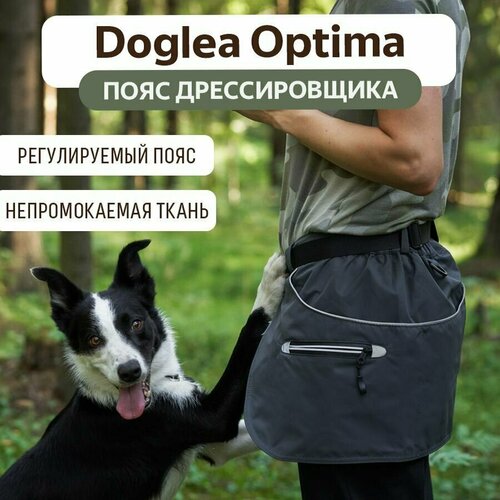 Пояс - юбка дрессировщика DOGLEA Optima Серый M