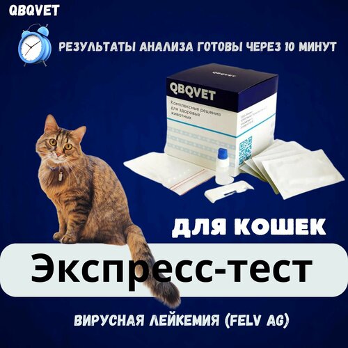 Экспресс-тест QBQVET Вирусная Лейкемия (FeLV Ag)