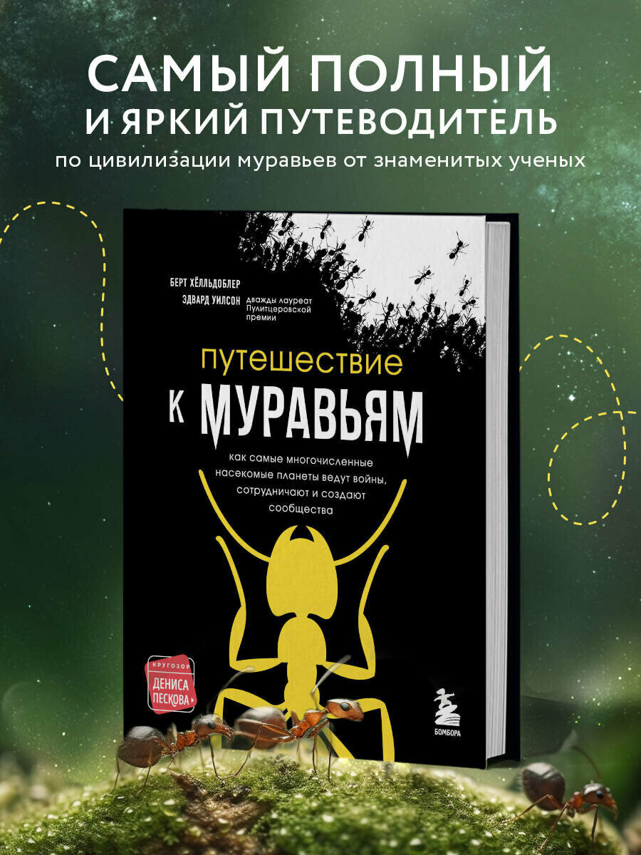 Путешествие к муравьям (Эдвард Уилсон, Берт Хёлльдоблер) - фото №1