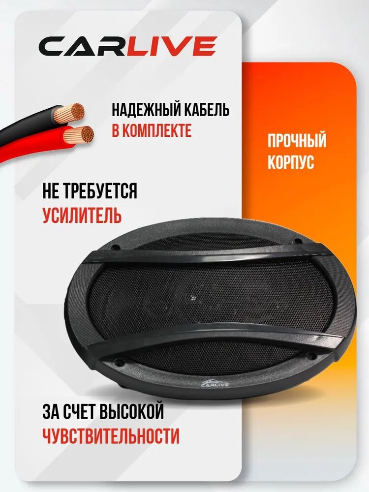 Динамики Автомобильные Carlive TS-A6995 (6x9)" Овальные. Автоакустика (2 Коаксиальных Динамика) — фото 1