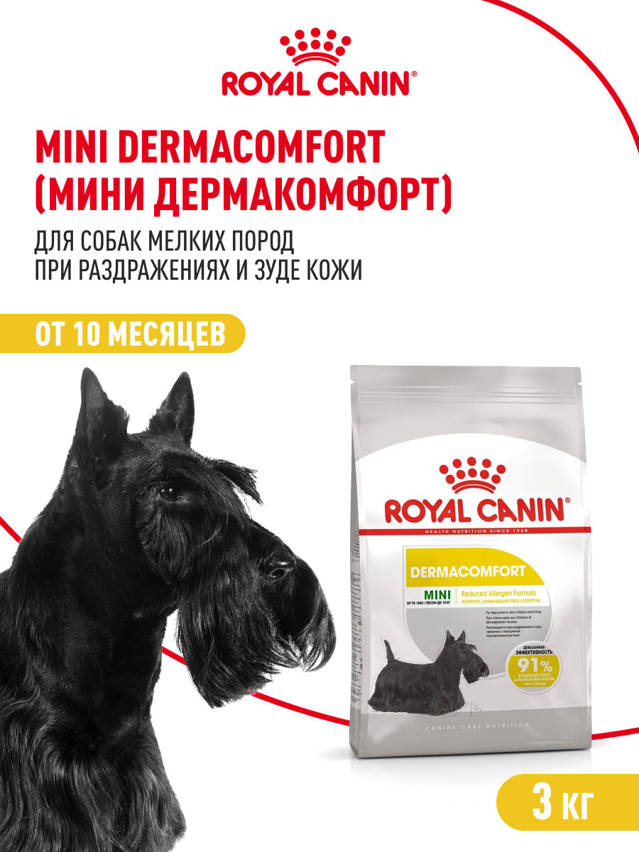Картинки Сухой корм для собак мелких пород Royal Canin Mini Dermacomfort при раздражении и зуде кожи, 3 кг