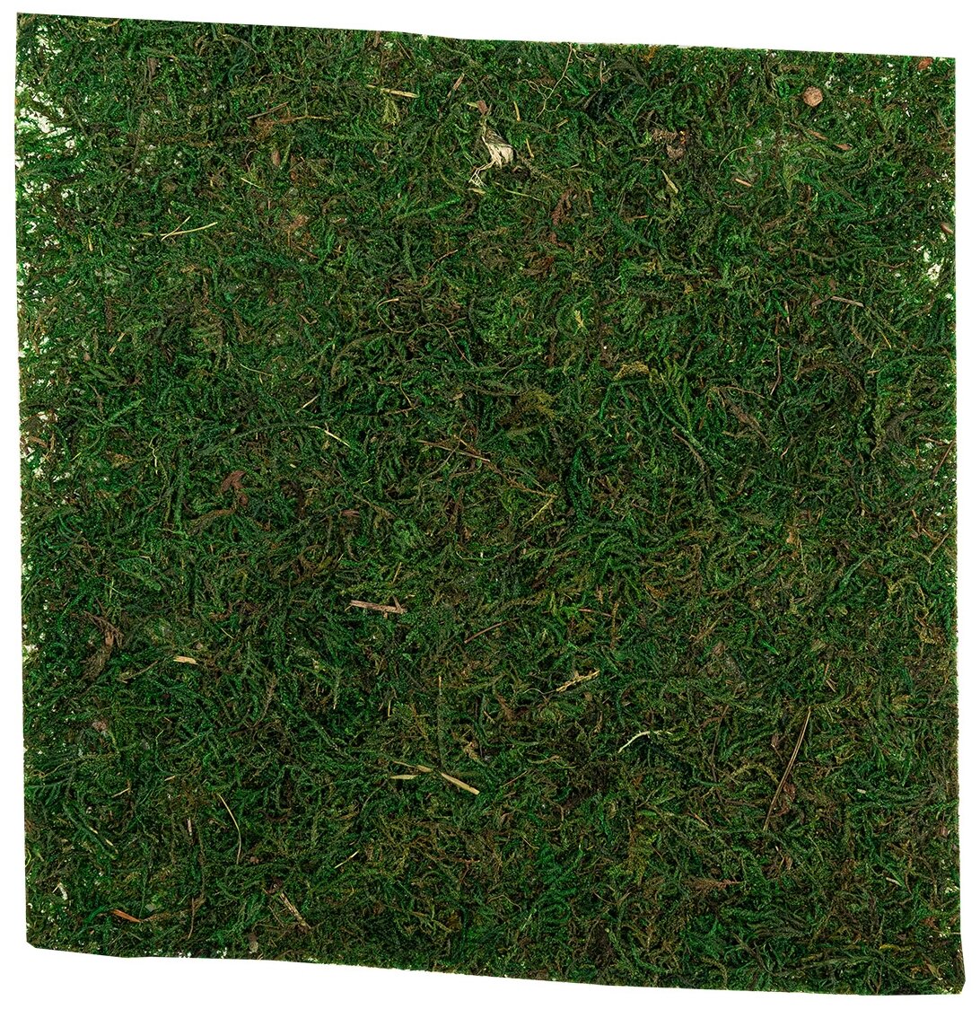Сизалевое волокно 20 гр., BHG-20, Blumentag, зеленый