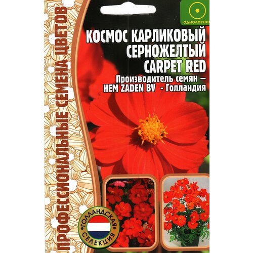 Космос карликовый CARPET RED ( 1 уп: 5 семян )