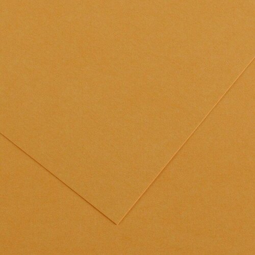 Бумага цветная CANSON Iris Vivaldi, 21 х 29.7 см, 1 лист, №32 Оранжевая кожа, 120 г/м2