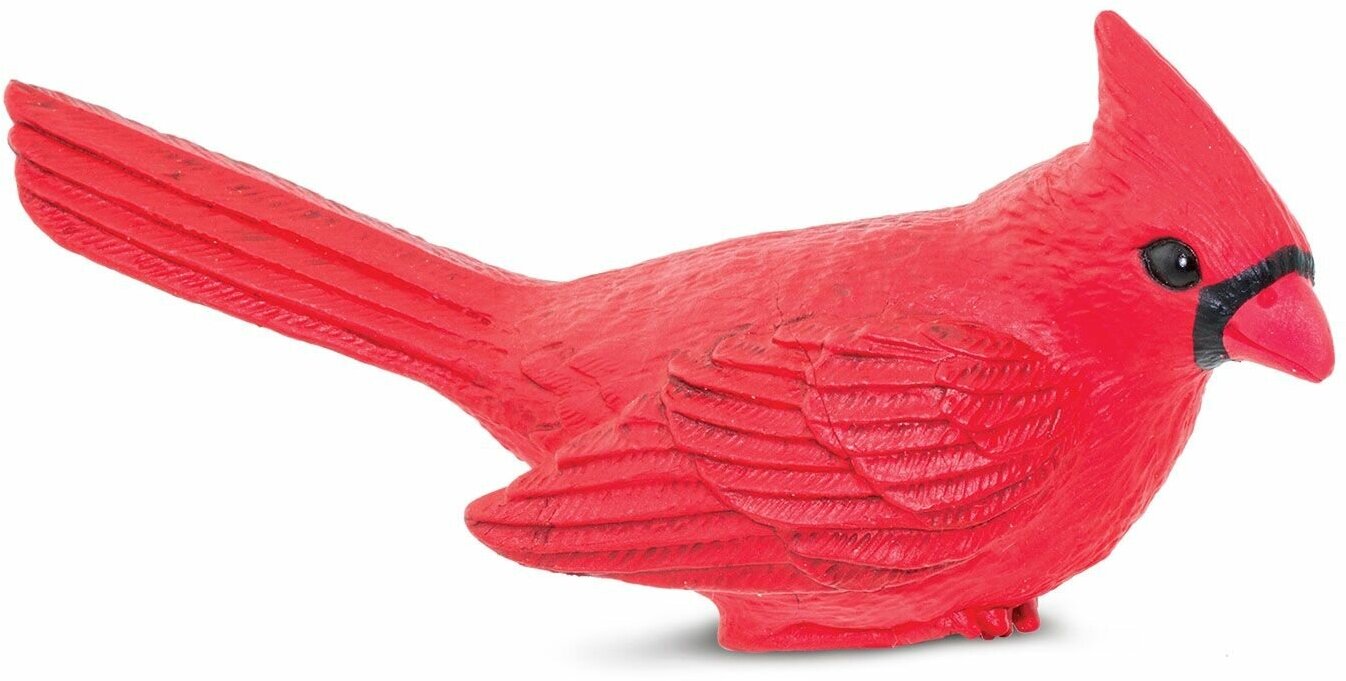 Фигурка птицы Safari Ltd Красный кардинал XL, для детей, игрушка коллекционная, 100215