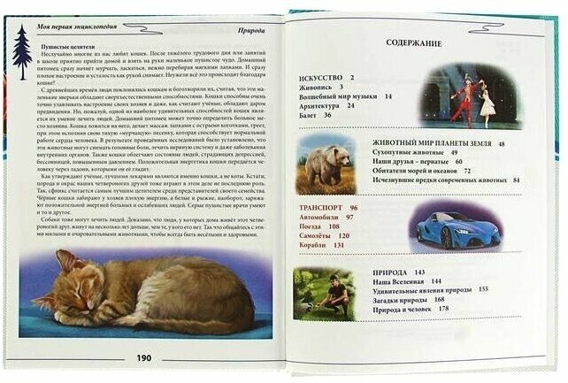 Моя первая энциклопедия (Соколова Ярослава Витальевна) - фото №15