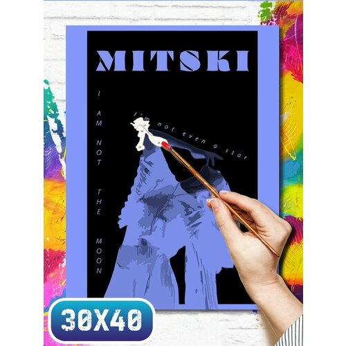 Картина по номерам на холсте музыка mitski - 11987 30x40