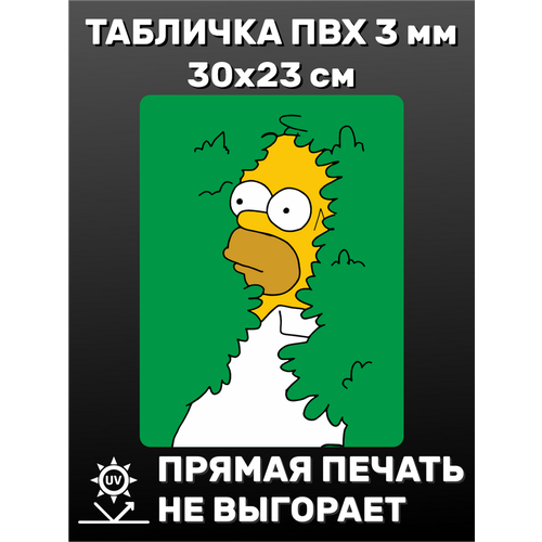 Табличка информационная Гомер 30х23 см
