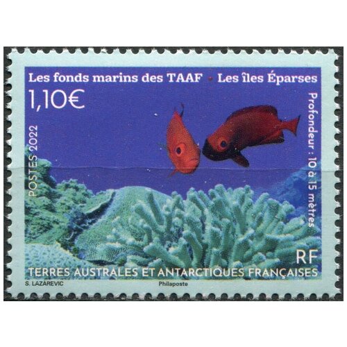 Французские Южные и Антарктические территории 2022. Эндемичная морская фауна (MNH OG) Почтовая марка
