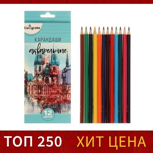 Карандаши цветные акварельные 12 цветов, заточенные, в картонной коробке карандаши цветные hatber 12 цветов гарри поттер с заточкой в картонной коробке с европодвесом