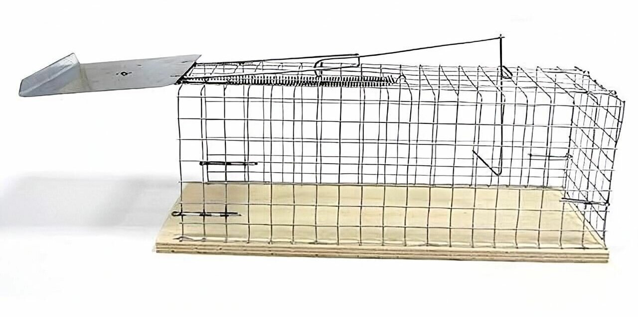 Крысоловка-клетка, с металлической сеткой, размер 285x95x115 мм. Безопасна для людей и домашних животных. Применяется дома, на даче, улице и подсобных помещениях.
