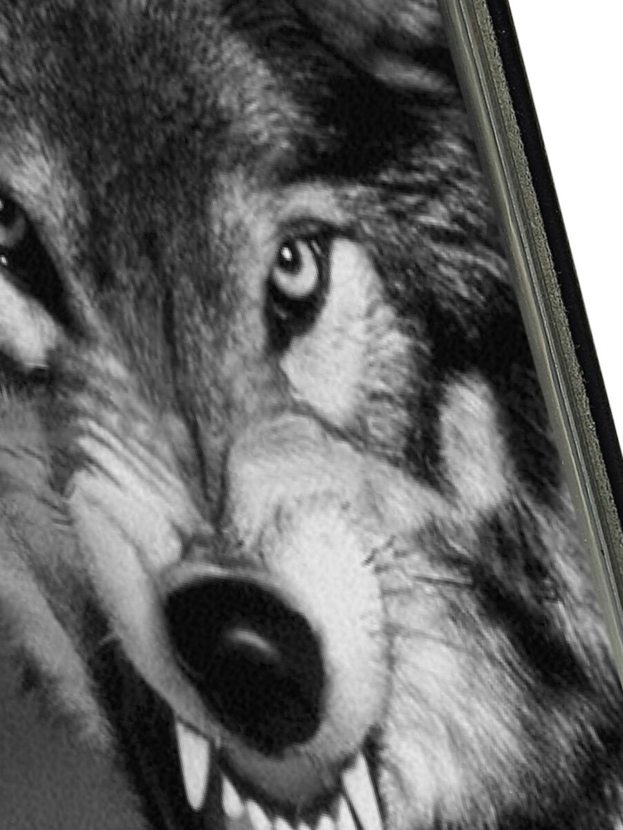 Чехол-книжка на Tecno Pova 6 Pro с принтом "Волчий оскал" черный — фото 1