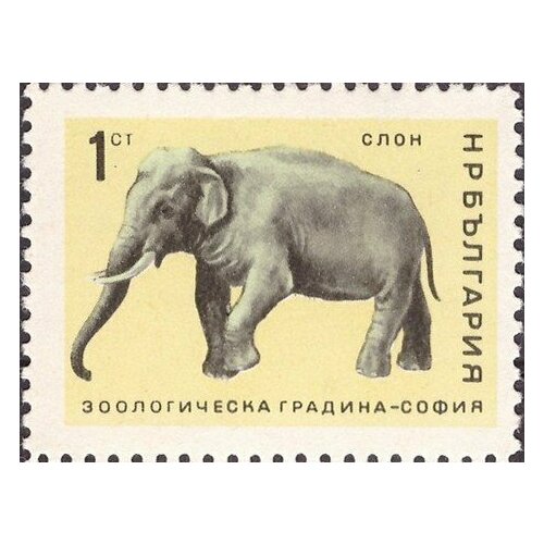 (1966-029) Марка Болгария Индийский слон Софийский зоопарк II O