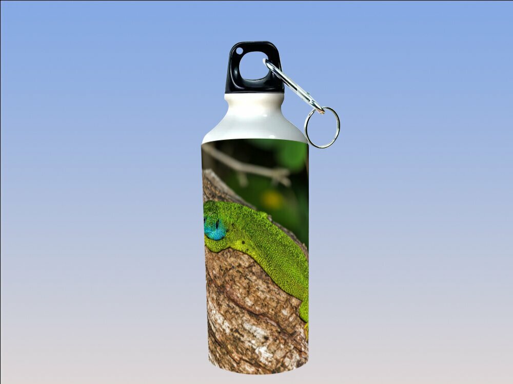 Бутылка фляга для воды "Ящерица, зелёная ящерица, рептилия" 750 мл. с карабином и принтом