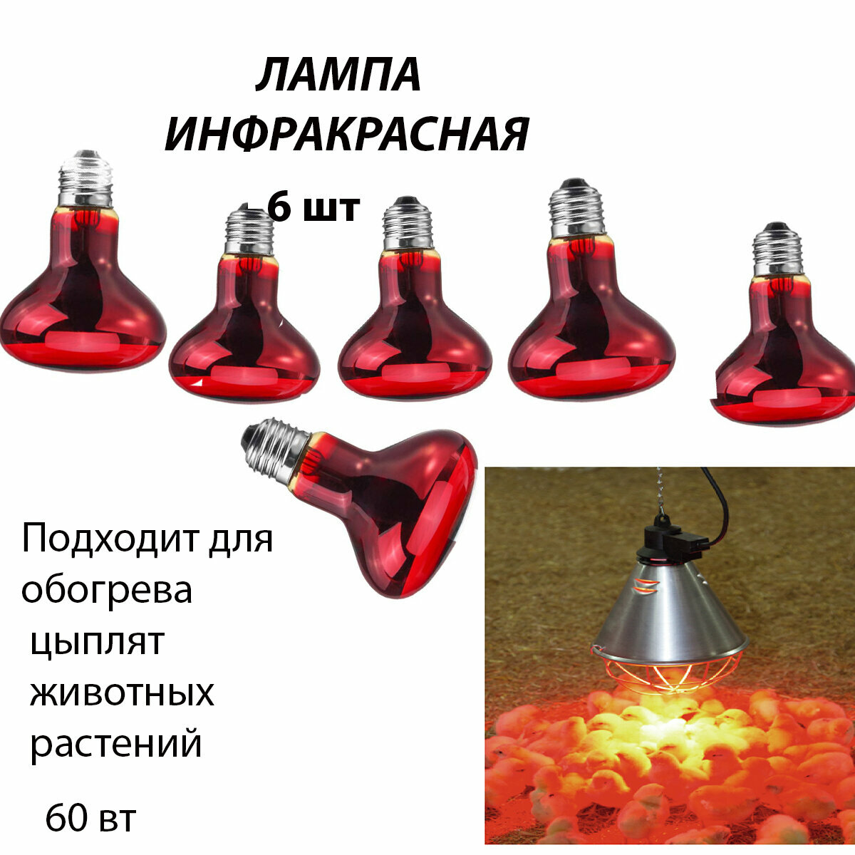 Лампа инфракрасная 6 шт для обогрева для лечения, для курятника, для растений, для птиц, для животных, для цыплят (60 Вт Е27)