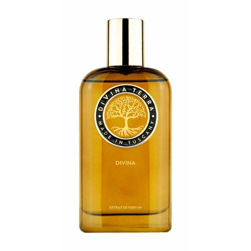Духи для мужчин и женщин DIVINA TERRA