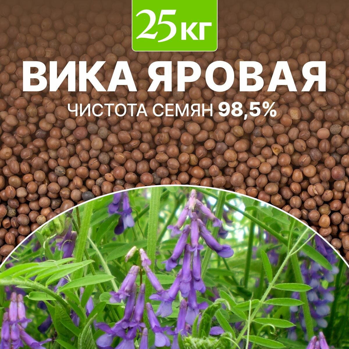 Семена Вика яровая сидерат чистота 98,76%, био-удобрение, 25 кг