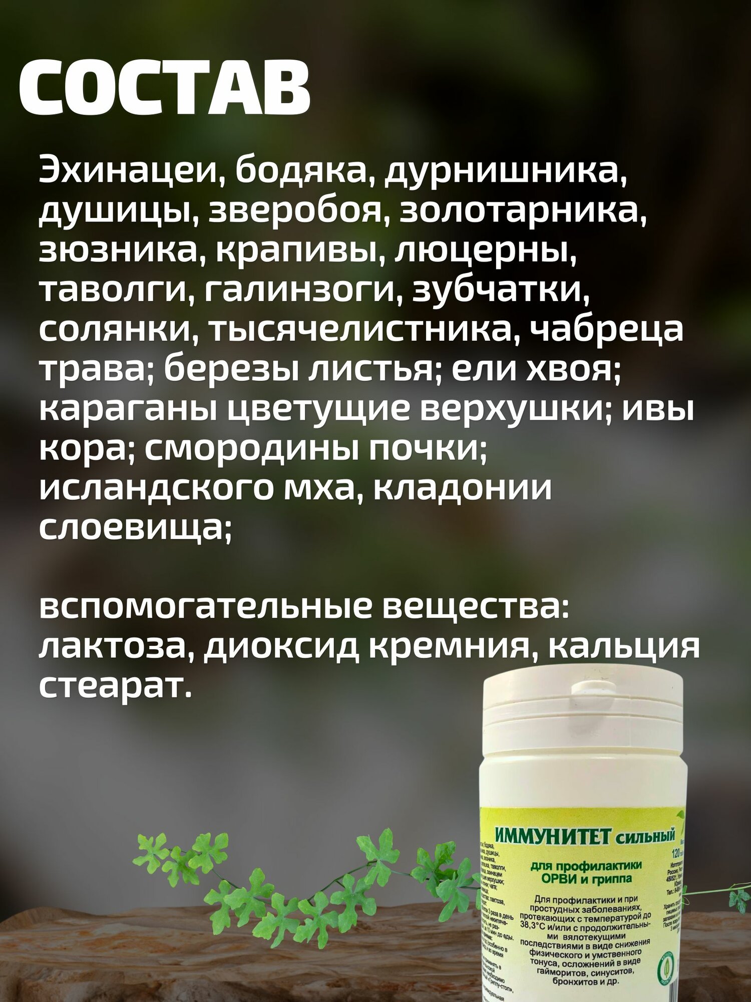 Изображение Иммунитет сильный, таблетки №90 (Рецепты Гордеева) (2 шт. в наборе)