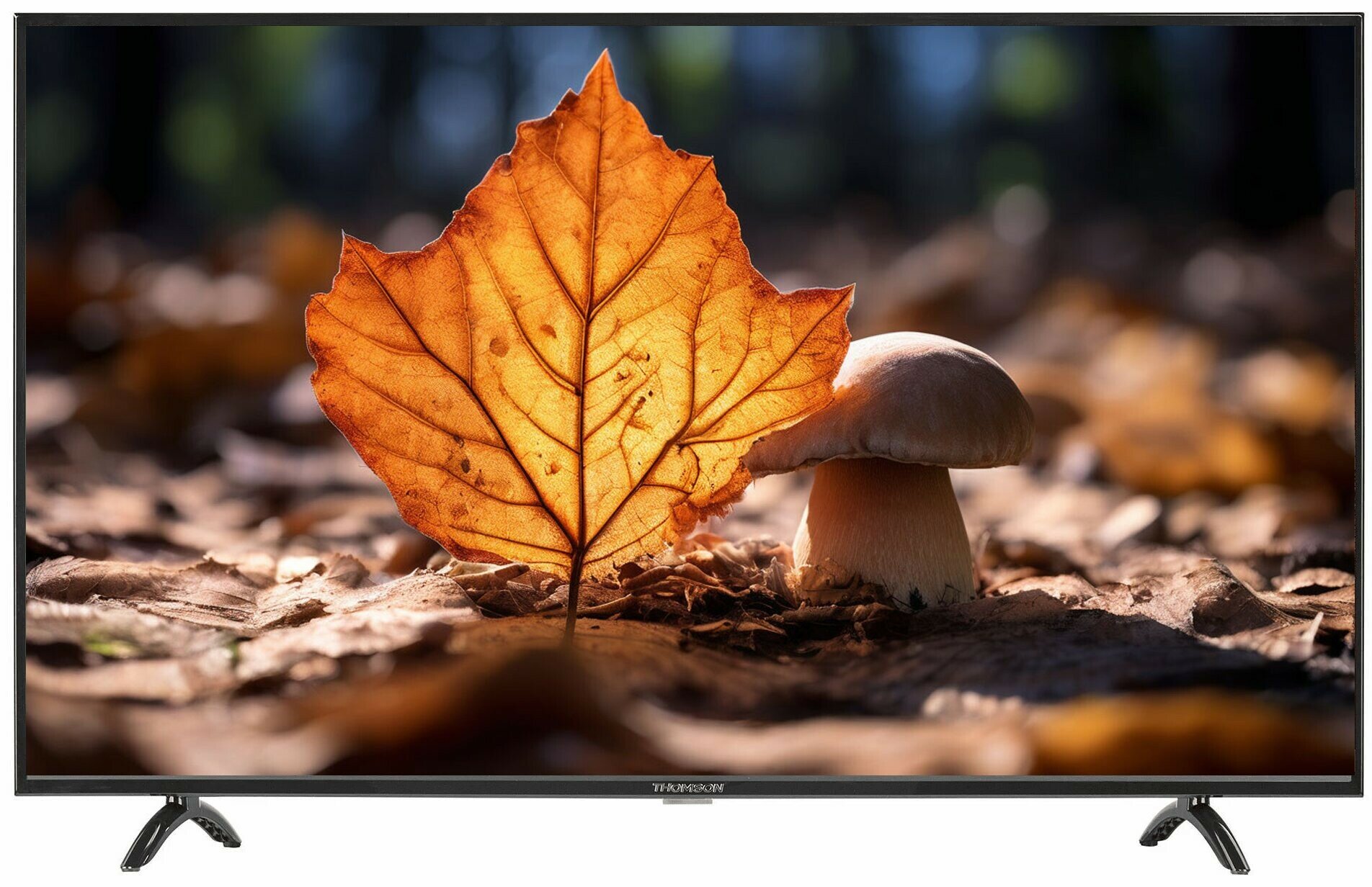 Телевизор Thomson T43FSL6060