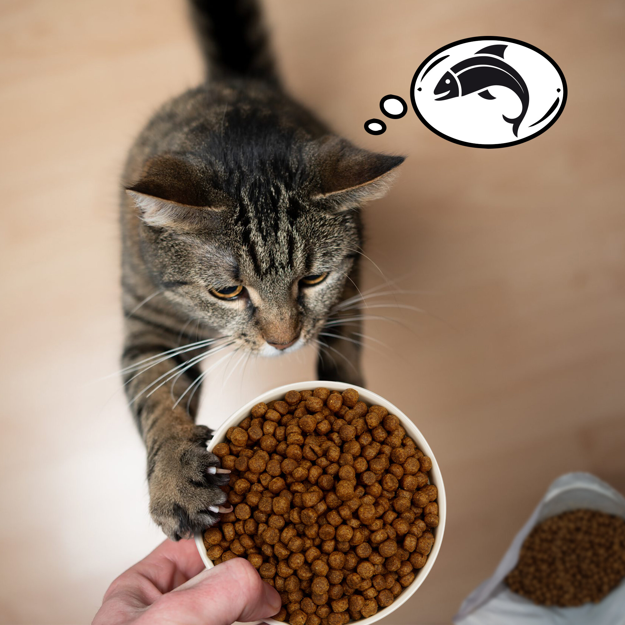 Полнорационный сухой корм для взрослых кошек Zoogurman Hypoallergenic, Лосось с рисом/Salmon & Rice 1,5 кг — фото 1