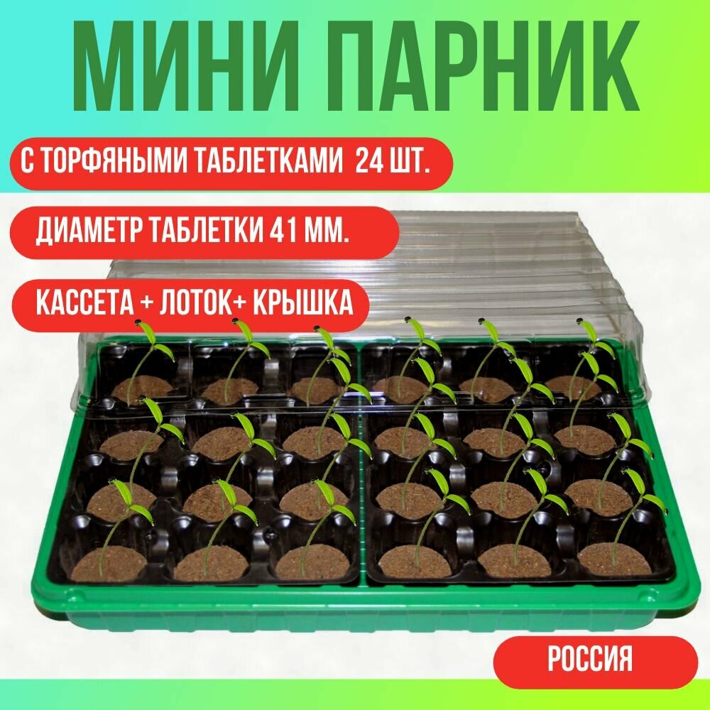 Минипарник для рассады на подоконник с торфяными таблетками с крышкой