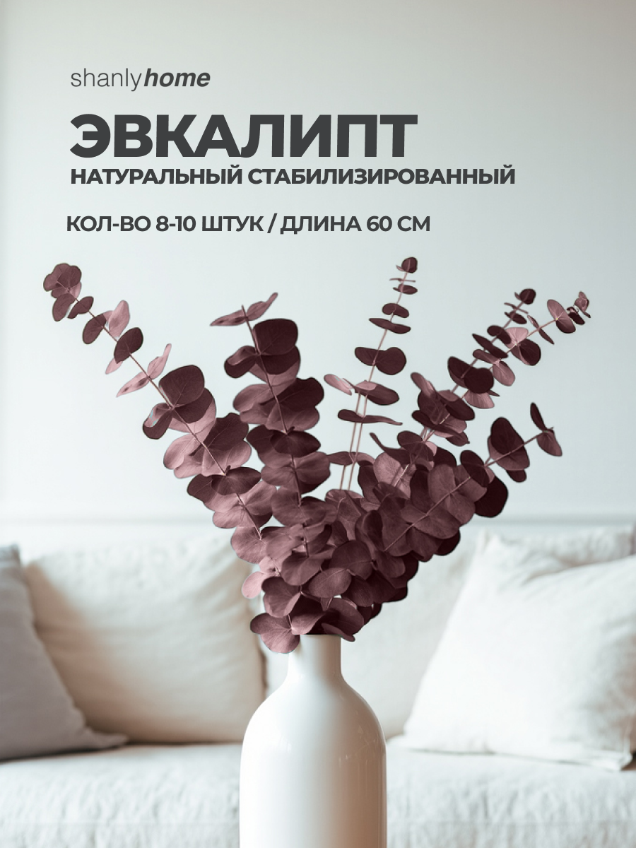 Сухоцветы для декора эвкалипт стабилизированный для уюта в доме букет из эвкалипта