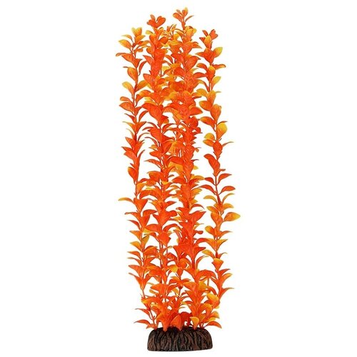 Laguna растение Людвигия, 400 мм, оранжевая растение laguna людвигия оранжевая 100мм