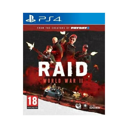 RAID: World War II [PS4, русские субтитры] - CIB Pack