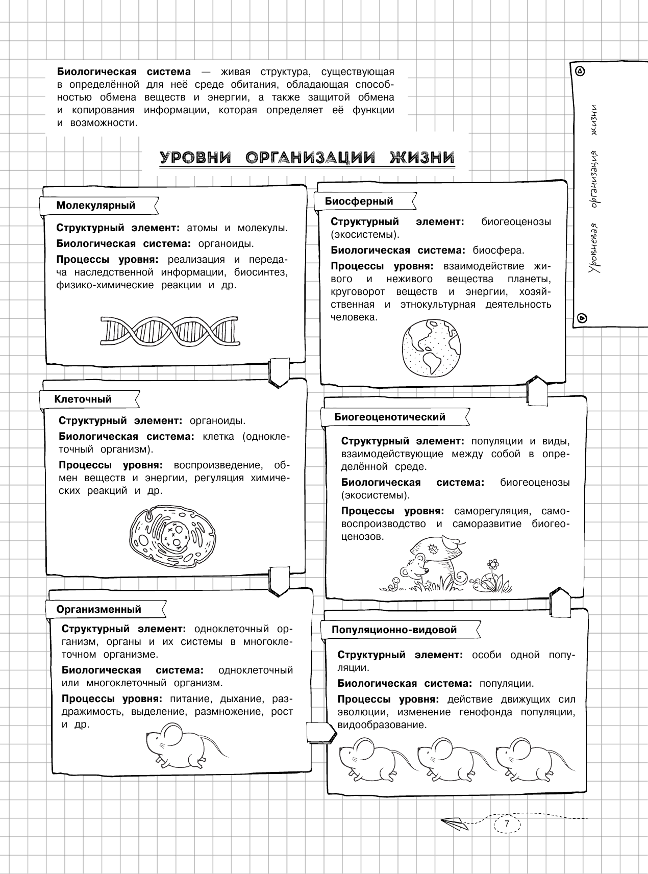 Наглядная биология (Мазур Оксана Чеславовна) - фото №11