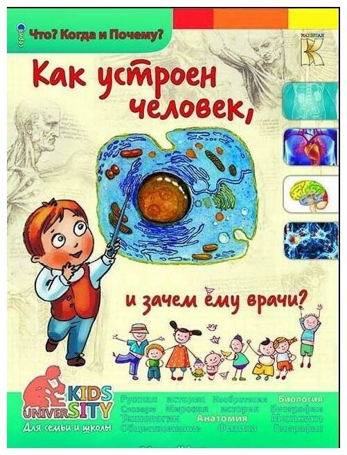 Соколова. Как устроен человек и зачем ему врачи? Энциклопедия. Что? Когда и Почему?