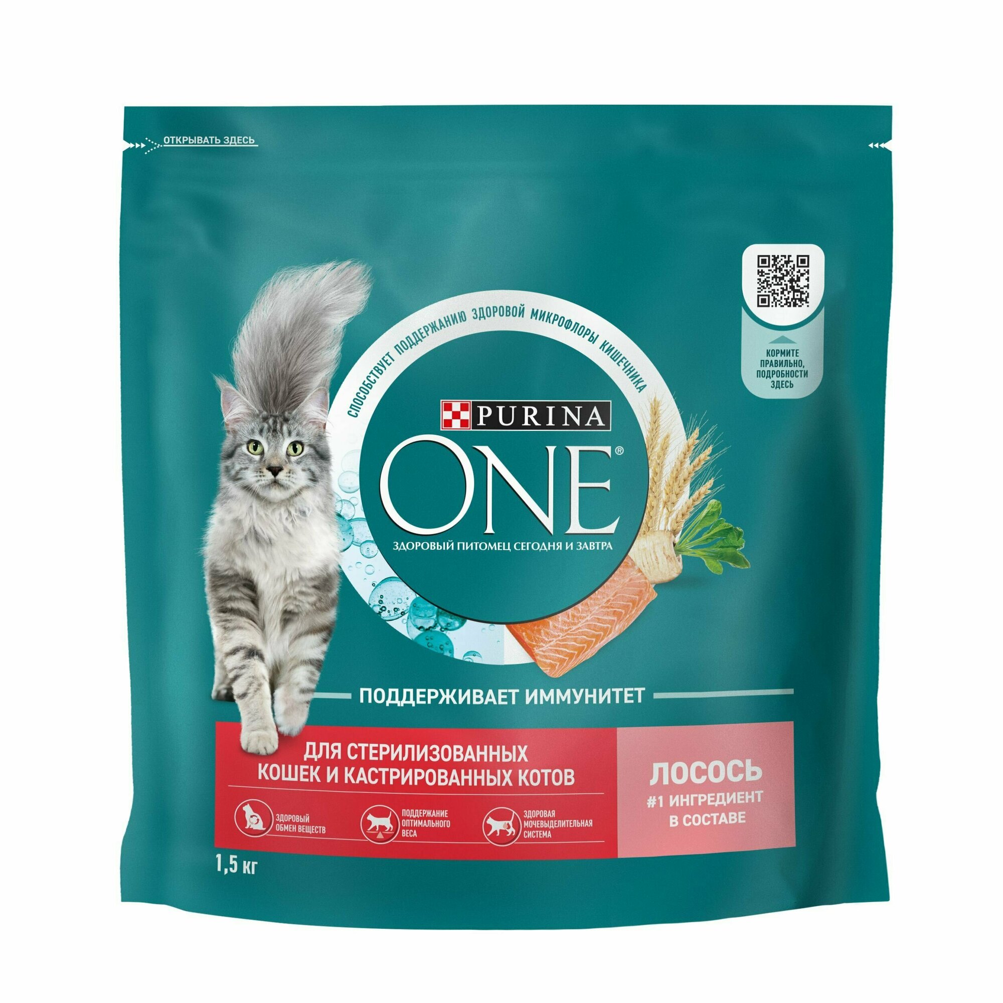 Сухой корм Purina ONE для стерилизованных кошек и котов с лососем и пшеницей, пакет, 1,5 кг, 6 шт - фотография № 15