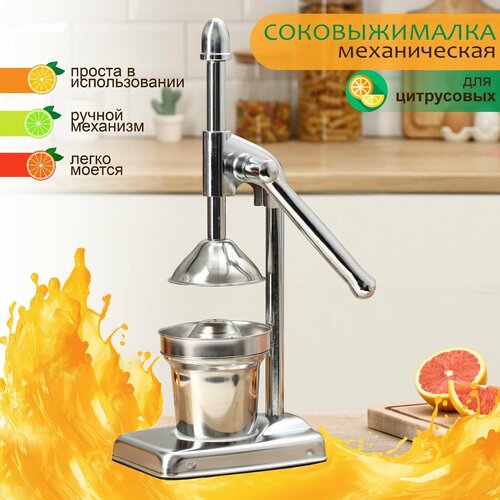 Соковыжималка механическая Fruits 2014537 см 543800₽