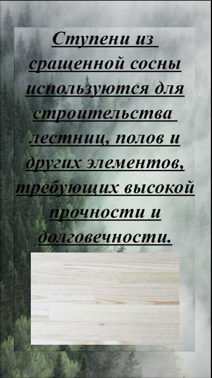 Ступень из массива сосны сращенной толщина 18мм размер 150мм х 550мм