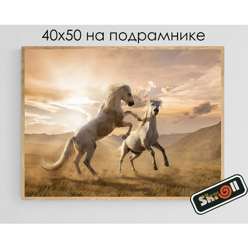 Алмазная мозаика на подрамнике Вышивка Живопись Картина стразами 40х50 см, 