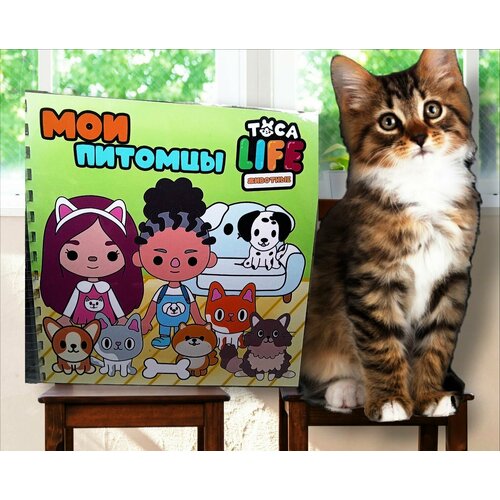 Развивающая игра на липучках 