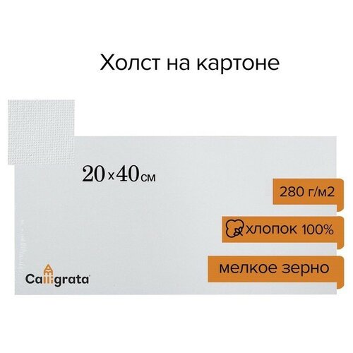 Холст на картоне Calligrata, хлопок 100%, 20 х 40 см, 3 мм, акриловый грунт, мелкое зерно, 280 г/м2 холст на картоне сонет 40 50см 100% хлопок 280 г м2